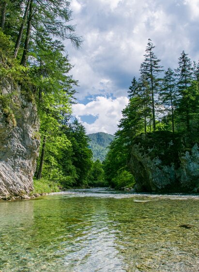 Sommer im Naturpark | © Naturpark Mürzer Oberland | nicoleseiser.at