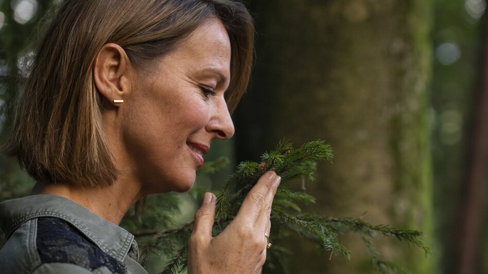 Green energy in Hochsteiermark: A break in the forest | © STG | Punkt & Komma