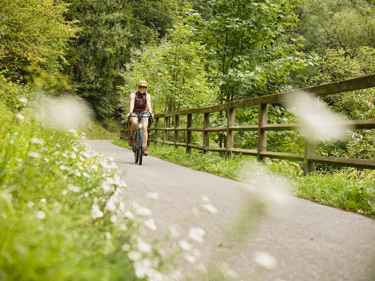 Eine Radfahrerin ist auf einem ruhigen, asphaltierten Radweg unterwegs. Die Strecke führt vorbei an blühenden Wiesen und durch einen dicht bewachsenen, sommerlich grünen Wald.