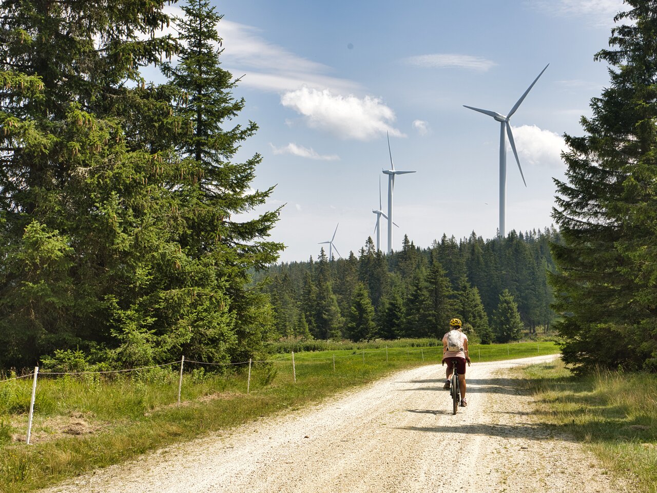 Eine Radfahrerin fährt auf einem breiten Schotterweg durch eine grüne Waldlandschaft. Über den Baumwipfeln ragen mehrere Windräder in den blauen Himmel.