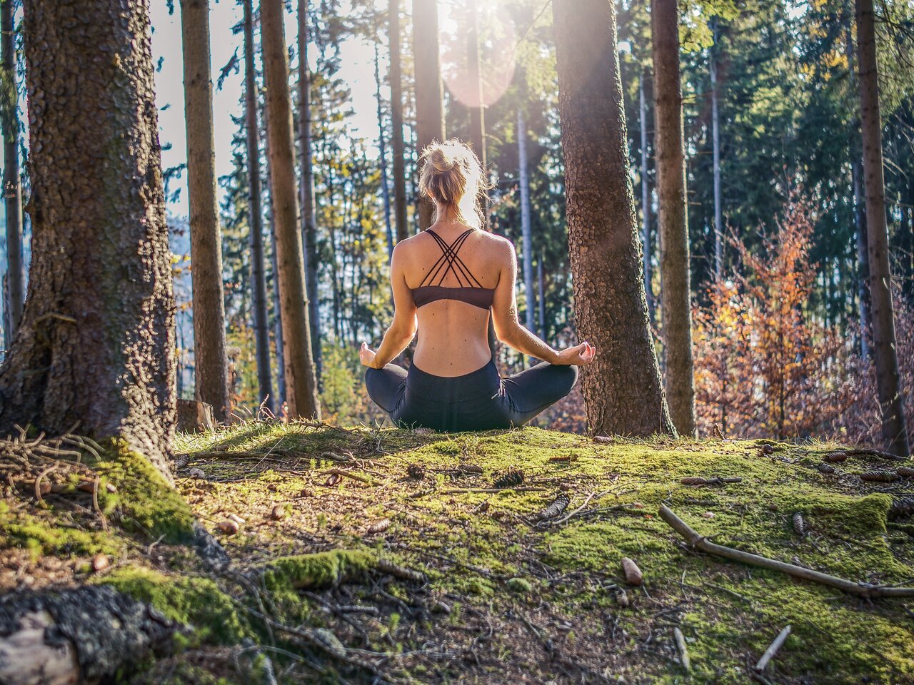 Forest bathing
