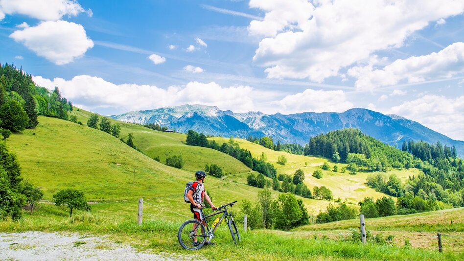MTB Falkenstein  | © Naturpark Mürzer Oberland | nicoleseiser.at