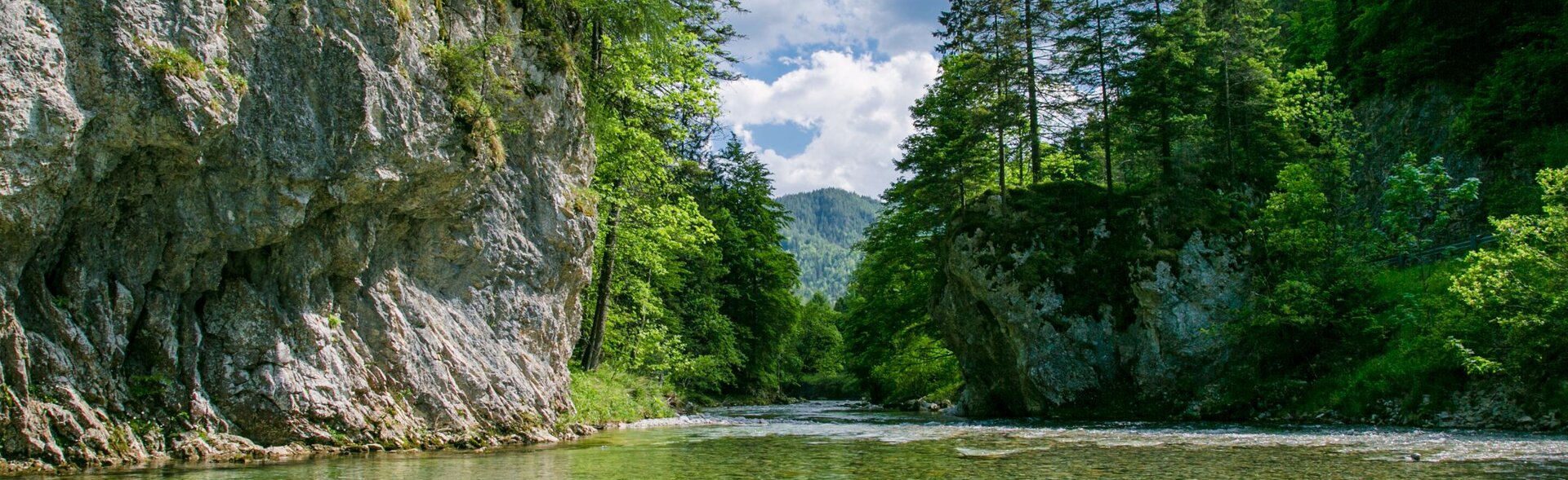 Eine Landschaftsaufnahme mit einem Fluss und vielen Sträuchern und Bäumen herum