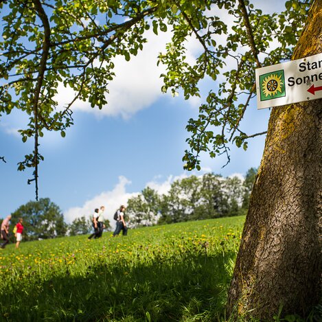 Stanzer Sonnenweg | © TV Hochsteiermark | fotodesign.at - Marcus Auer