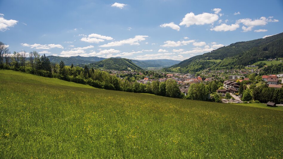 Eine blühende grüne Wiese, ein Berg und mitten drinnen eine Stadt