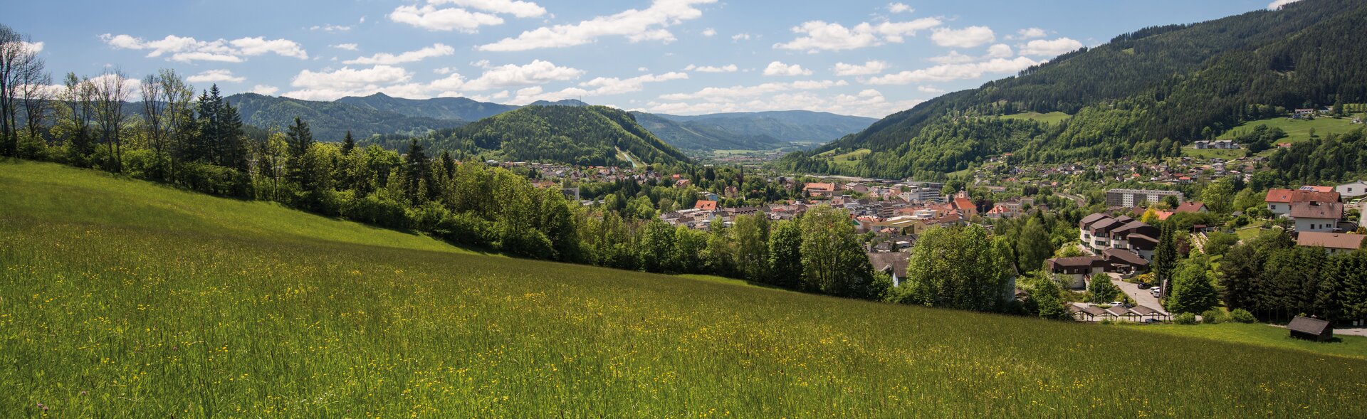 Eine blühende grüne Wiese, ein Berg und mitten drinnen eine Stadt