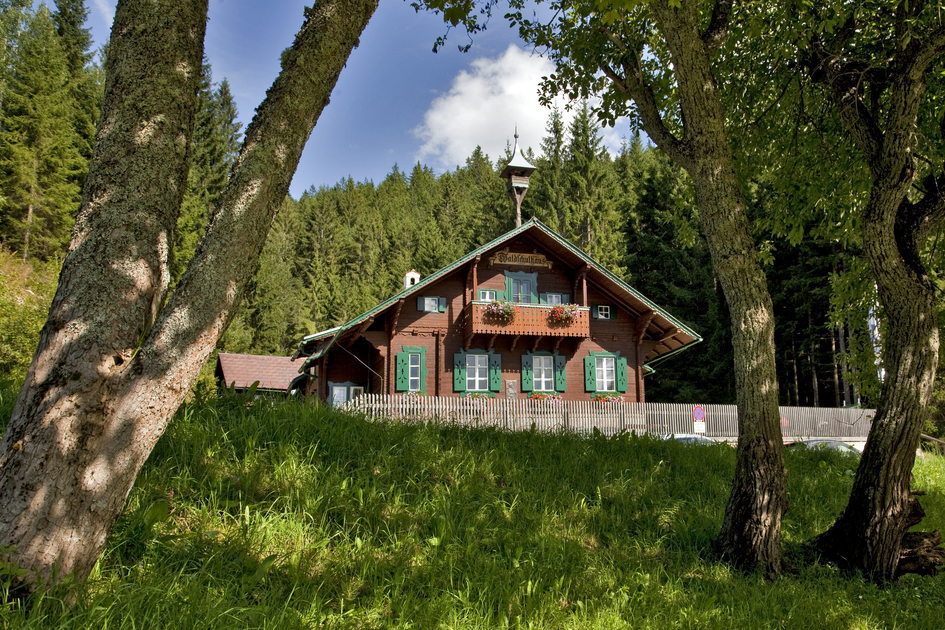 Peter Rosegger Waldschule | © Jakob Hiller | Jakob Hiller