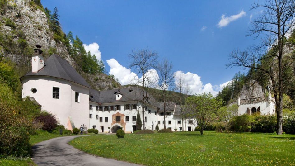 Ein alte Schlossanlage umgeben von einer Felswand mit Bäumen und grüner Wiese