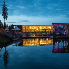 Abendaufnahme von einem Konzert mit Publikum auf der Seebühne