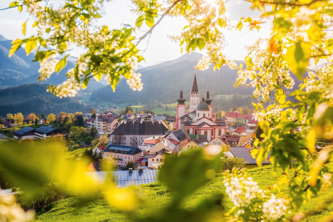 Frühlingshafte Stimmung, die Basilika durch grüne Blätter und Knospen fotografiert
