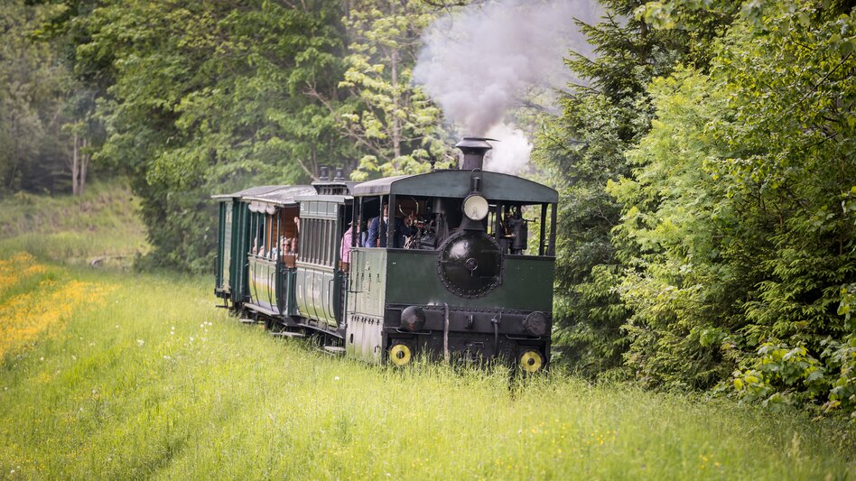Eine alte Dampflok fährt mit 3 Wagons inmitten grüner Landschaft