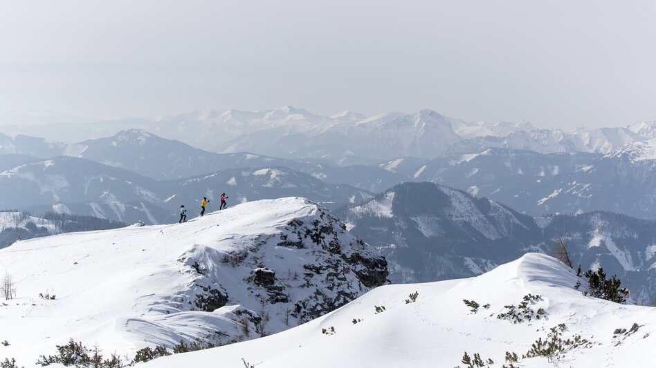 Aflenzer Bürgeralm | © TV Hochsteiermark | Tom Lamm