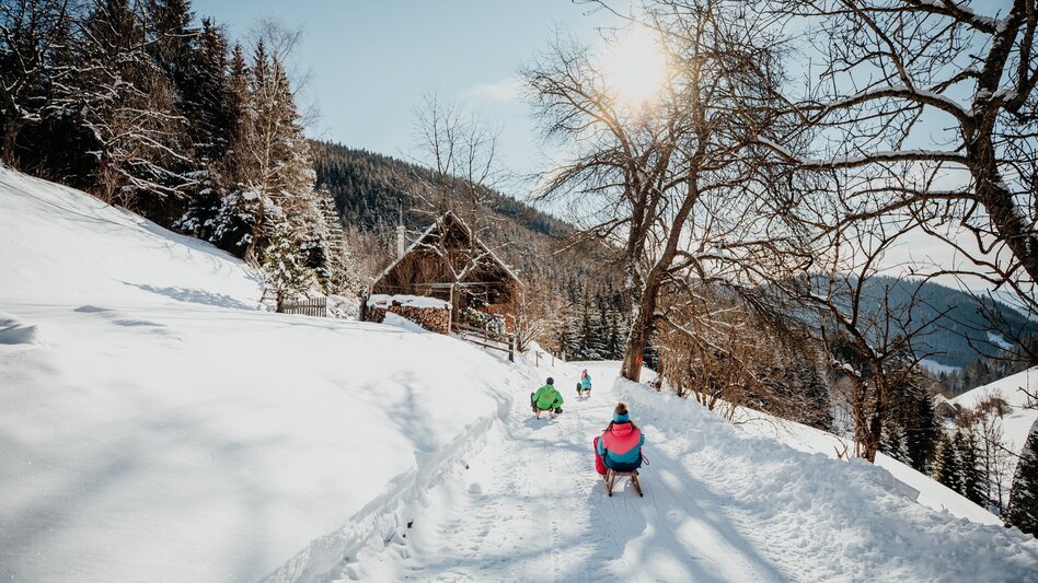 Rodeln in der Waldheimat | © TV Hochsteiermark | nicoleseiser.at