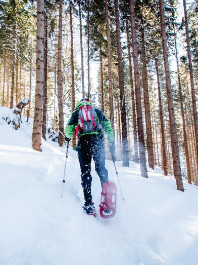 Schneeschuhwandern | © Naturpark Mürzer Oberland | nicoleseiser.at