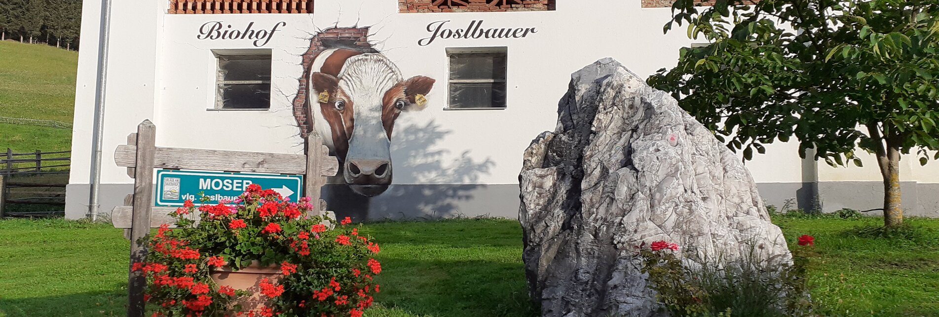 Ausflug zum Biohof Joslbauer in Murau | © Biohof Joslbauer