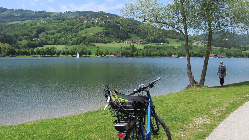 Das Rad abgestellt am asphaltierten Gehweg, der rund um den Stubenbergsee führt