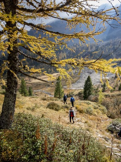 Wandern in den Murauer Bergen | © Tom Lamm | ikarus.cc | Tom Lamm