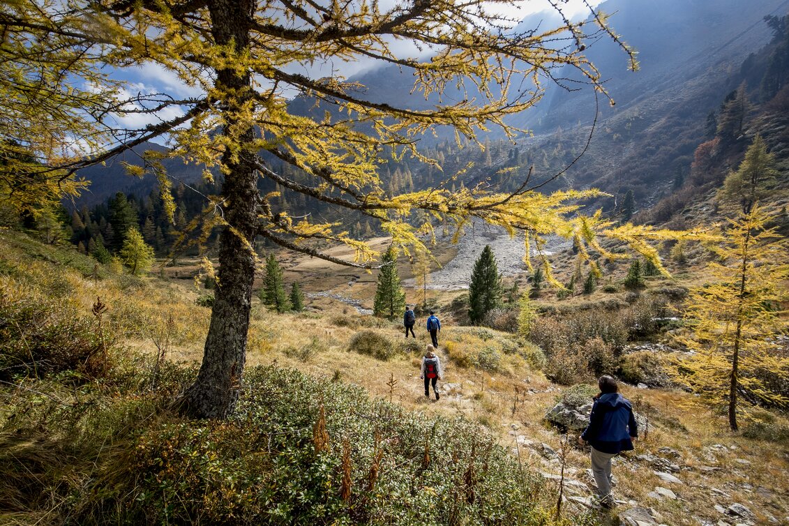 PackageAuf stillen Wegen zu Almen und Gipfeln - WANDERN IN UNBERÜHRTER NATUR