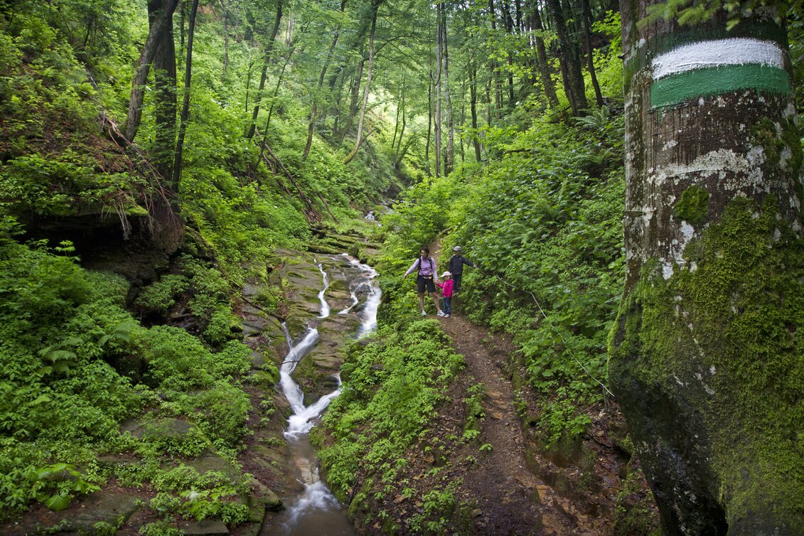 PackageWanderurlaub am höchstgelegenen Weingut der Steiermark -  | © Steiermark Tourismus