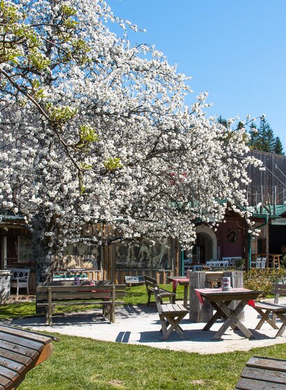 Besuch am Weingut und Winzerhotel Moser im Frühling