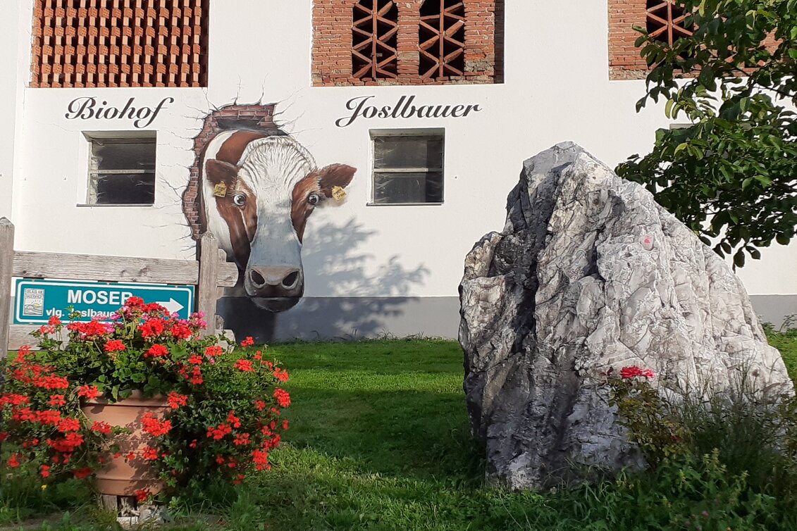 PackageGruppenausflug im Sommer/Winter  -  | © Biohof Joslbauer