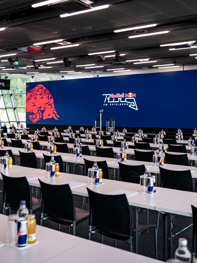 Red Bull Wing | Lucas Pripfl | © Red Bull Ring
