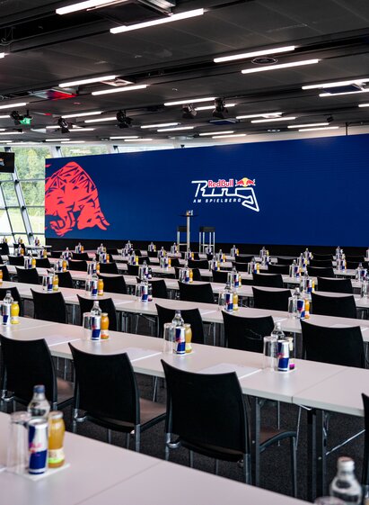 Red Bull Wing | Lucas Pripfl | © Red Bull Ring