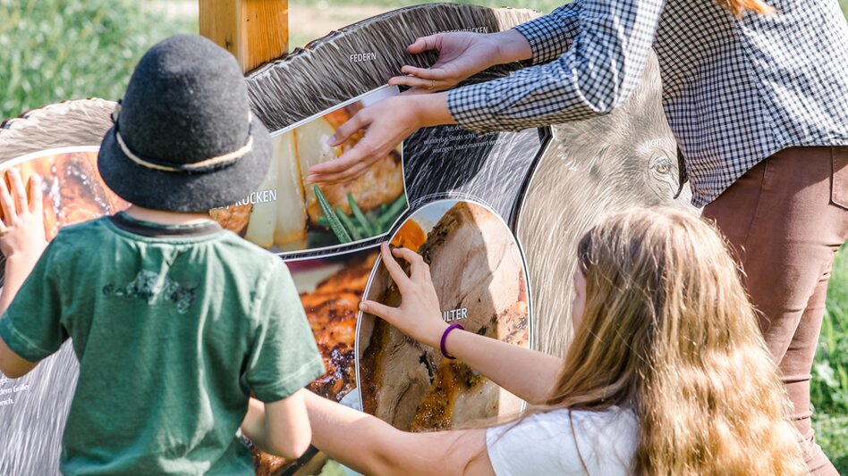 Eine Figur, wo man Teile des Wildschweins zusammensetzen muss