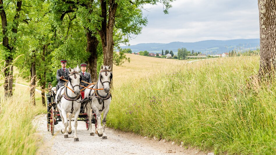 Kutschenfahrt in Piber
