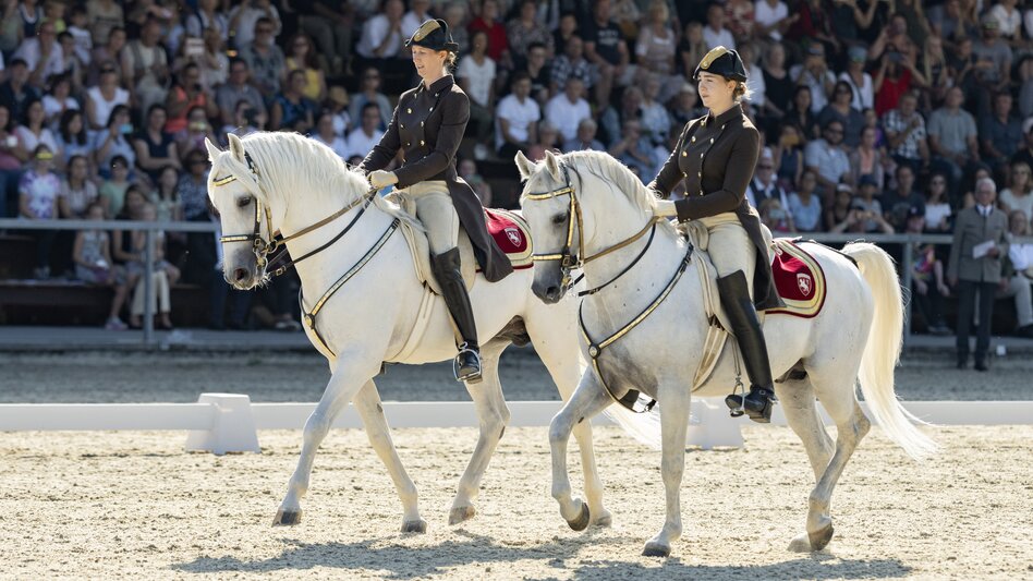 Reiter beim Fest der Lipizzaner
