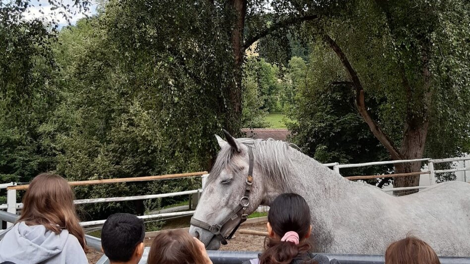  - Impression #2.8 | © Spanische Hofreitschule Lipizzanergestüt Piber