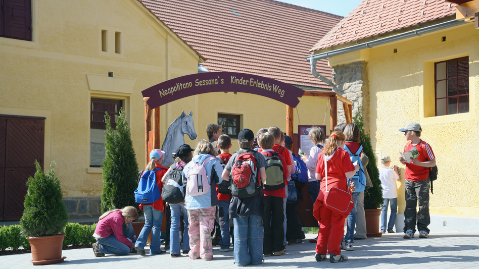  - Impression #2.6 | © Spanische Hofreitschule Lipizzanergestüt Piber