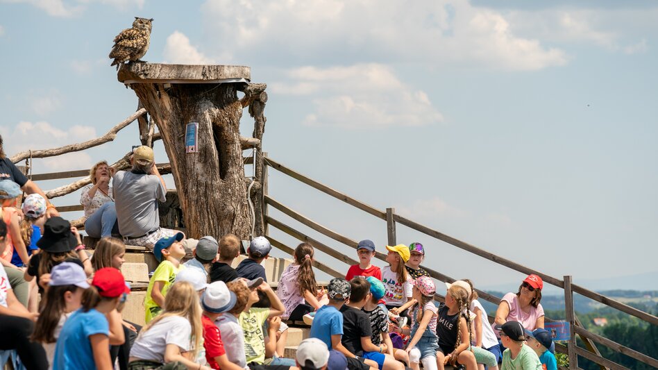 Schulklasse staunt über die Vögel bei der Flugvorführung. Ein Uhu hat sich hinter der Gruppe auf einem Holzstamm niedergelassen.