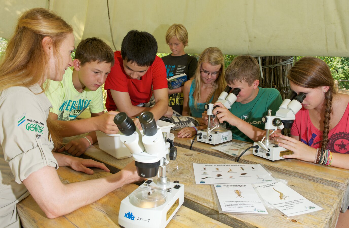 Forschungswerkstatt Weidendom - Kinder beim Forschen | © Nationalpark Gesäuse