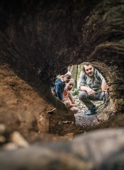 Nationalpark entdecken | Stefan Leitner | © Nationalpark Gesäuse