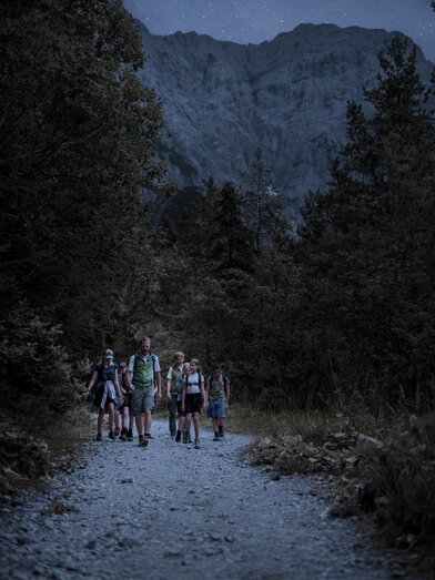 © Nationalpark Gesäuse | Stefan Leitner