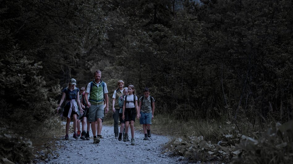Bei einer Wanderung durch den Nationalpark in der Dunkelheit werden die anderen Sinne geschärft.