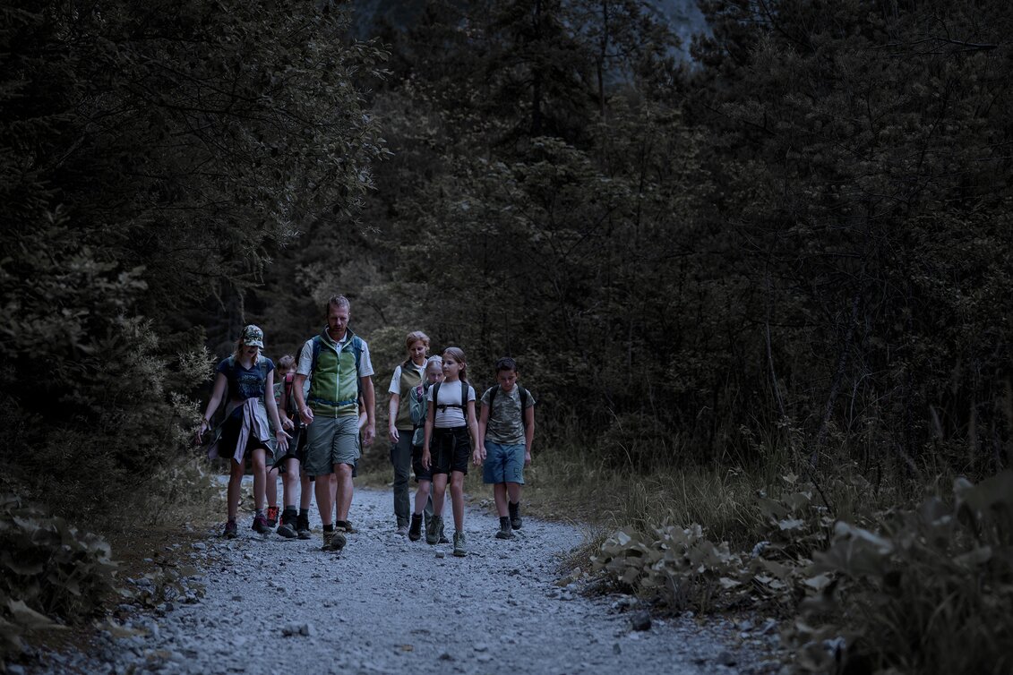 PackageNight-time experience: Feel the fascination of darkness - Gesäuse National Park