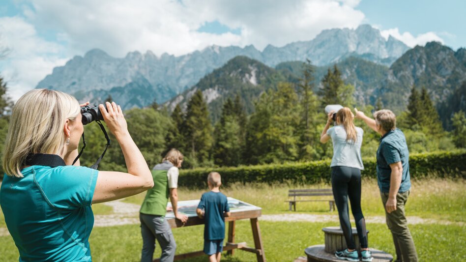 Weidendom Nationalpark Gesäuse | © Stefan Leitner