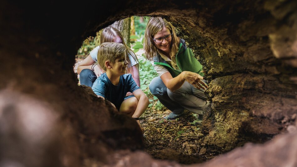 Kinder im Weidendom im Nationalpark Gesäuse | © Stefan Leitner