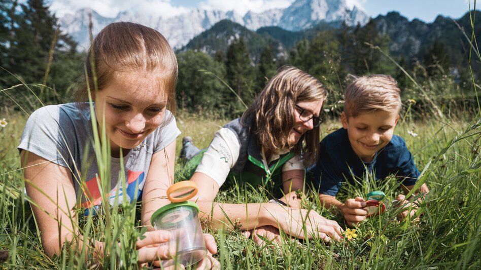Kinder spielen in der Wiese des Nationalparks Gesäuse | © Stefan Leitner