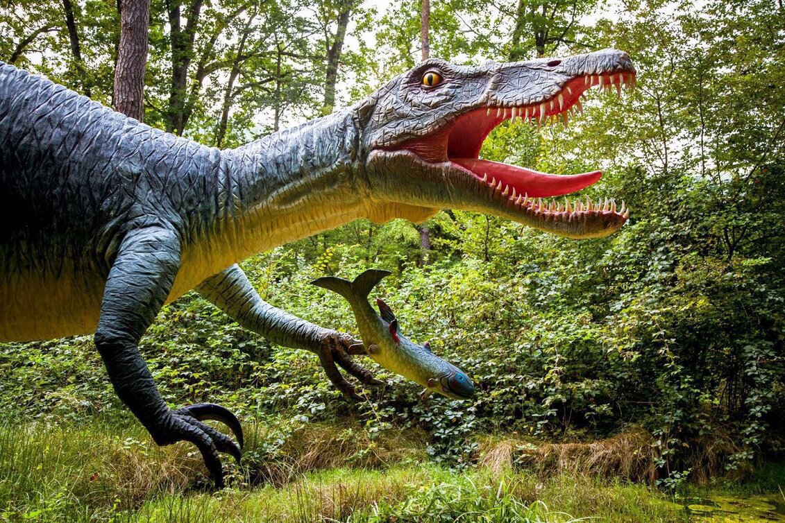 Barynoyx Saurier | © Styrassic Park GmbH | Mag. Markus Ulrich | © Styrassic Park GmbH