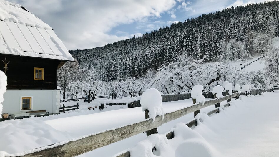  - Impression #2.4 | © Pension Zechnerhof