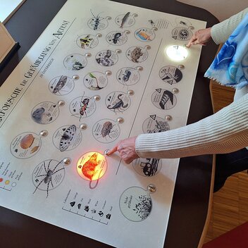 Interaktiv lernen im Natur-Lese-Museum! | © Young Styria | /01_Portale/Young Styria/Magazin/Autoren/Livia Stranz