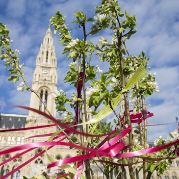 Bunte Bänder wehen von einem kleinen Baum, im Hintergrund das Wiener Rathaus | © Steiermark Tourismus