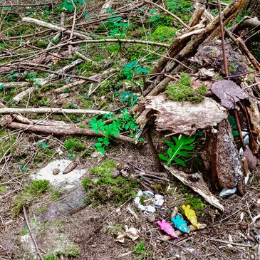 Aus Ästen, Rinde und ähnlichem Baumaterial entstand ein Zwergenhaus im Wald | © Young Styria