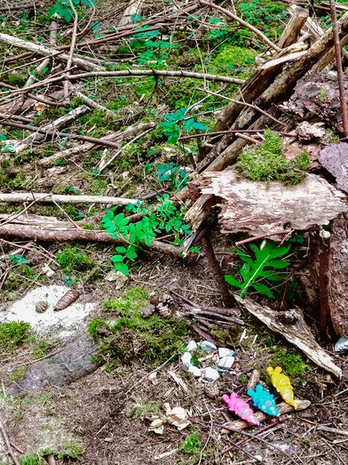 Ein Zwergenhaus im Wald | Neumeister | © Young Styria