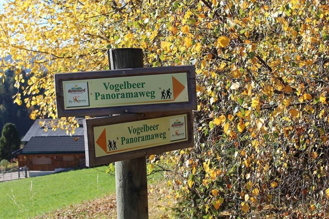 Themen- und Lehrpfad Vogelbeer-Panoramaweg, St. Kathrein/O. - Touren-Impression #1 | © Oststeiermark Tourismus