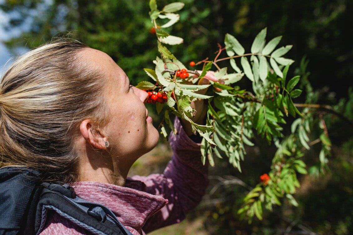 Hiking Route Rowanberry Panorama Path - Touren-Impression #1 | © Oststeiermark Tourismus
