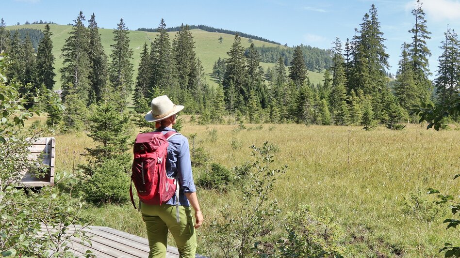 Wanderung Moorlehrpfad, Teichalm - Touren-Impression #2.3 | © Oststeiermark Tourismus